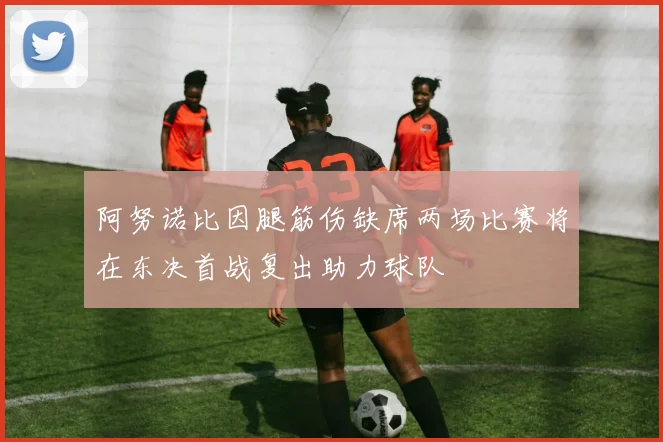 阿努诺比因腿筋伤缺席两场比赛将在东决首战复出助力球队