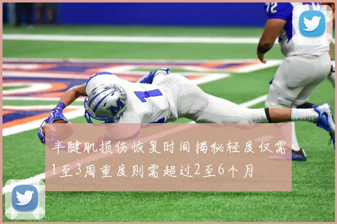 半腱肌损伤恢复时间揭秘轻度仅需1至3周重度则需超过2至6个月